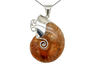 SHELL FOSSIL PENDANT 
2" X 2.25"  APPROX SIZE 
SS 
CUSTOM MOUNT 
*CHAIN NOT INCLUDED