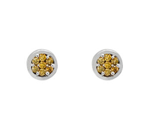 YELLOW DIAMOND EARRINGS
.60 CTTW YELLOW DIAMONDS
weight approx
18KT WHITE GOLD
POST AND FRICTION BACK